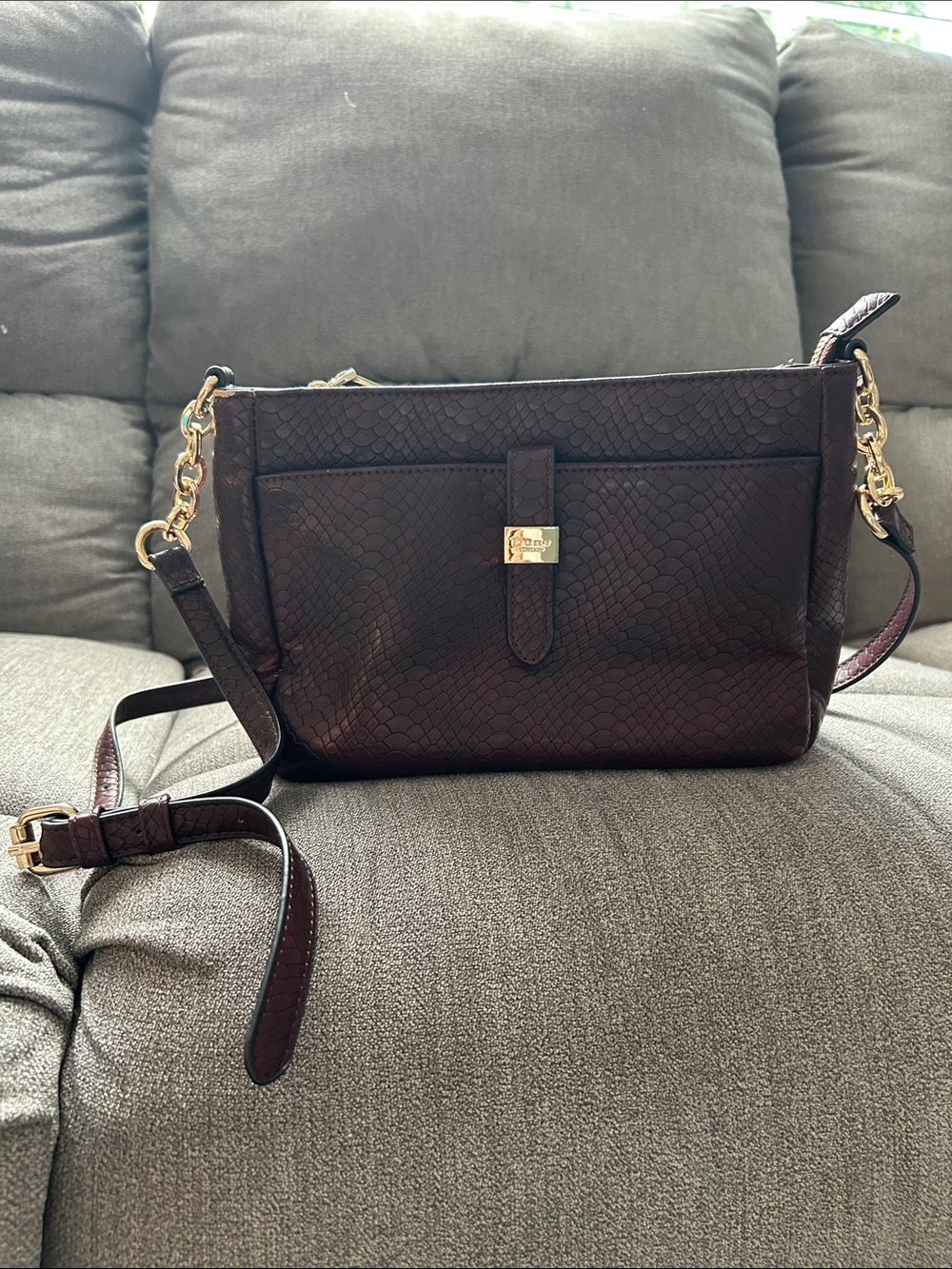 Dune London Burgandy Textured Crossbody with Gold Hardware